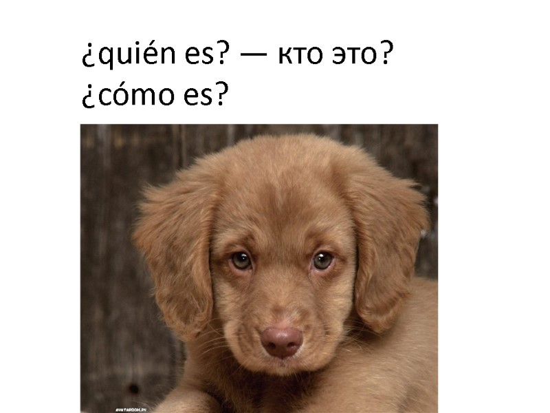 ¿quién es? — кто это? ¿cómo es?